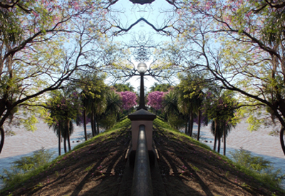portfolio-image